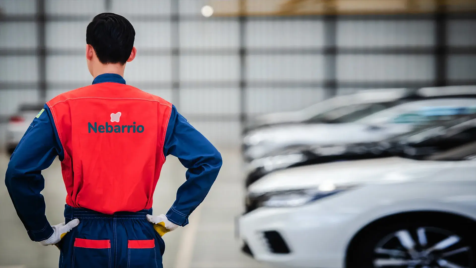 Nibarrio Image Graphics - 6